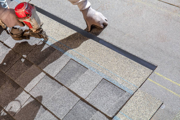 Best Local Roofing Companies  in Bridgeport, NE